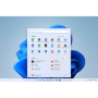 WIN 11 HOME FPP P2 32-bit/64-bit Eng US